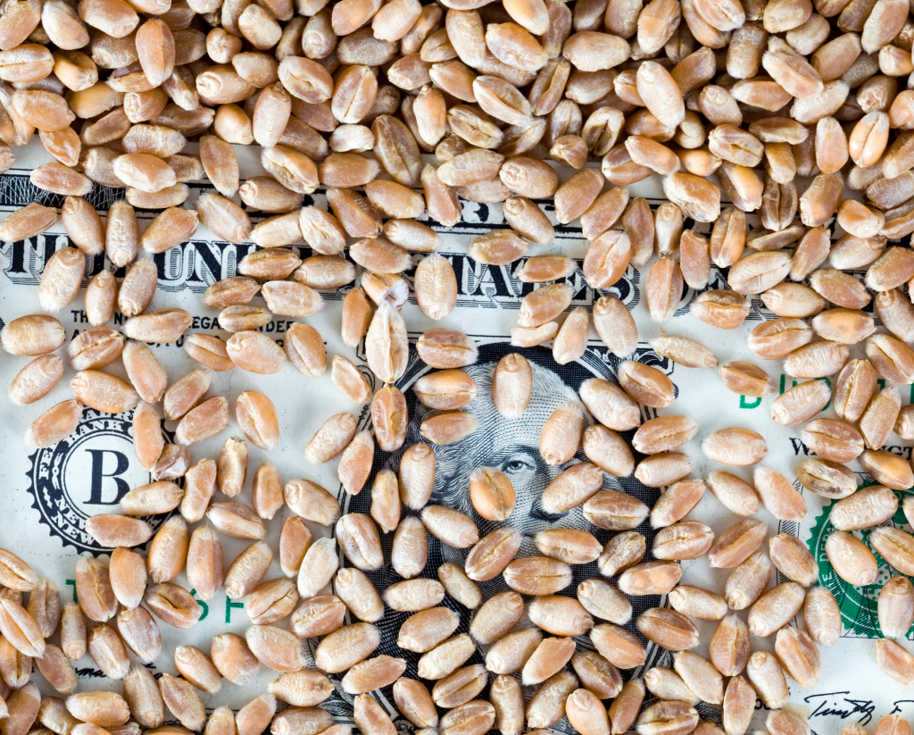 June 30 USDA Acreage Report Supports Grain Prices MinnStar Bank